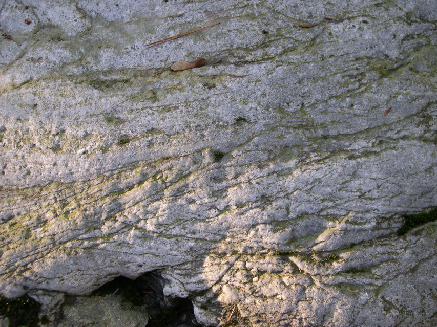 DSCN0031.JPG