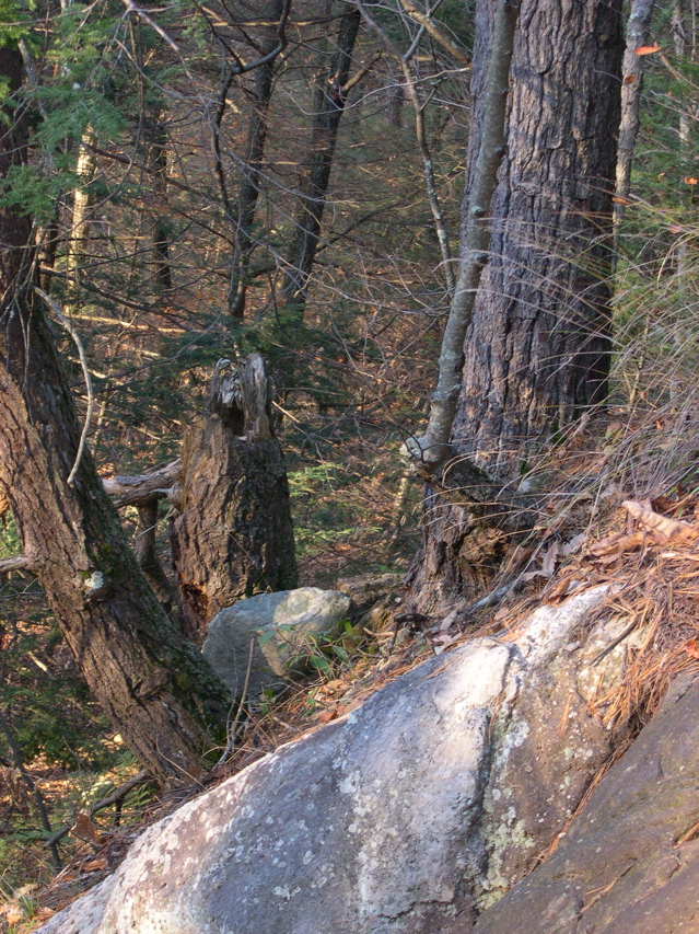 DSCN0086.JPG