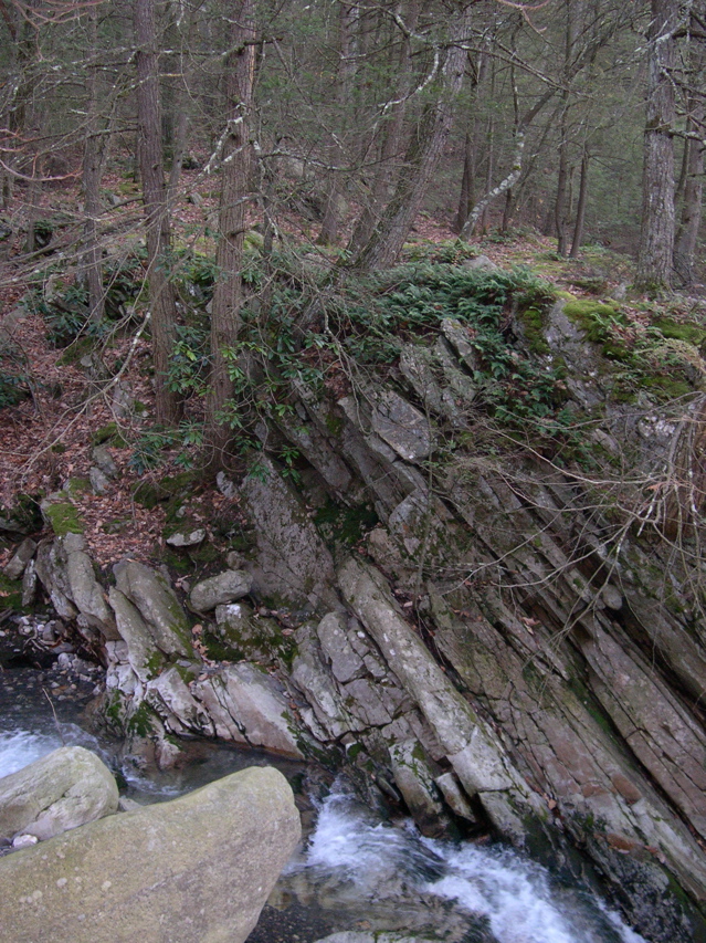 DSCN0088.JPG