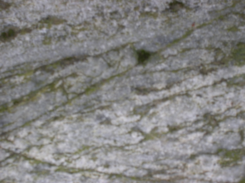 DSCN0032.JPG
