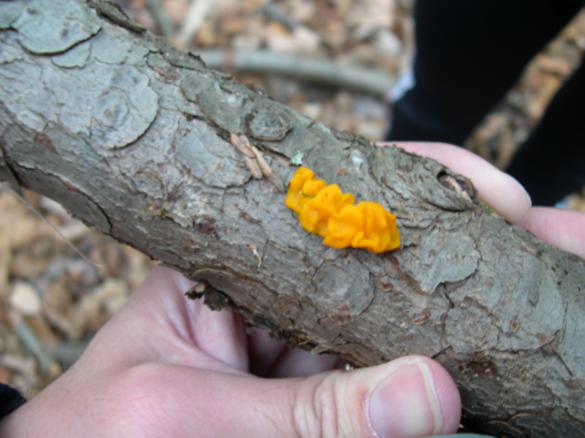DSCN0109.JPG
