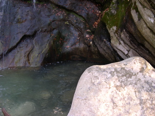 DSCN0056.JPG