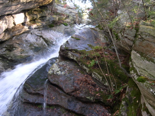 DSCN0059.JPG