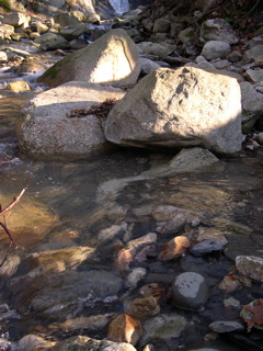 DSCN0062.JPG