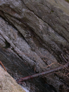 DSCN0079.JPG