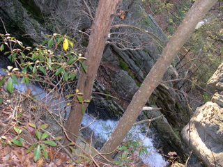 DSCN0080.JPG