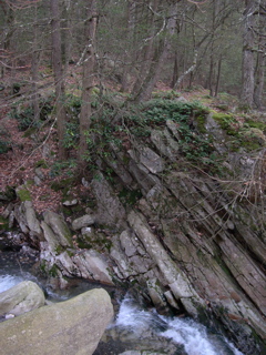 DSCN0088.JPG