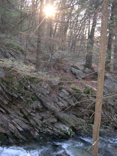 DSCN0091.JPG