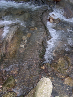 DSCN0103.JPG