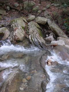 DSCN0104.JPG