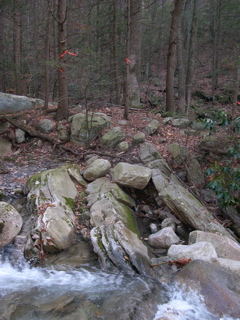 DSCN0105.JPG
