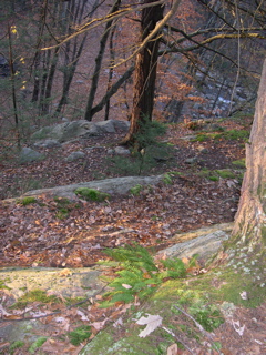 DSCN0111.JPG