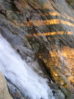 DSCN0113.JPG