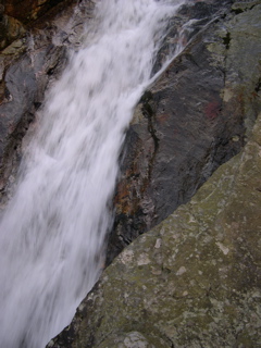 DSCN0121.JPG