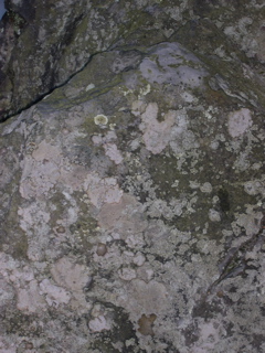 DSCN0123.JPG
