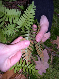 DSCN0130.JPG