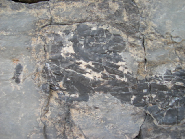 DSCN1053.JPG