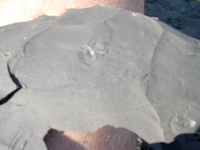 DSCN1068.JPG