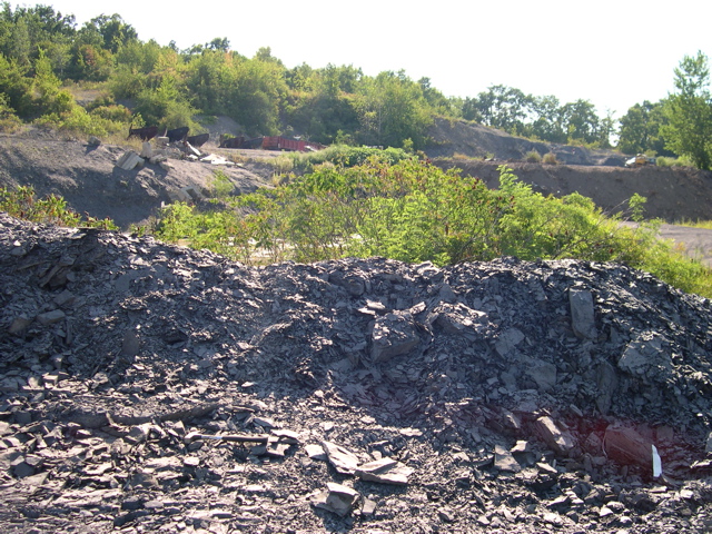 DSCN1070.JPG