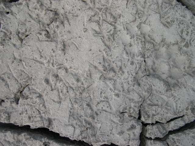 DSCN1055.JPG