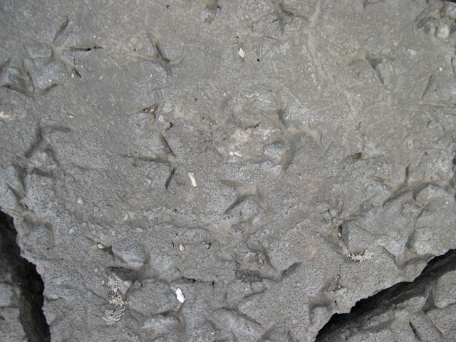 DSCN1058.JPG