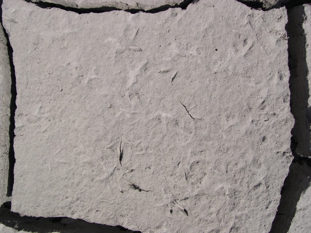 DSCN1059.JPG