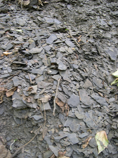 DSCN0951.JPG