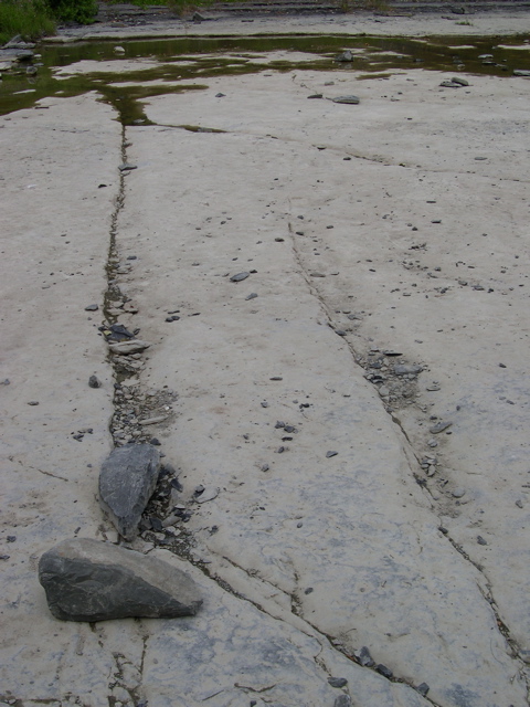 DSCN0954.JPG