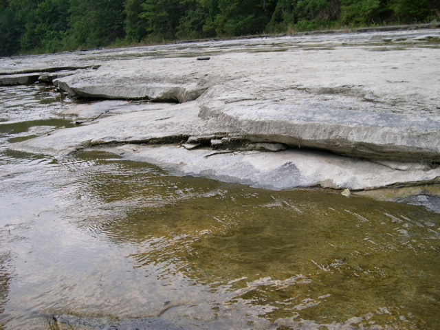 DSCN0956.JPG
