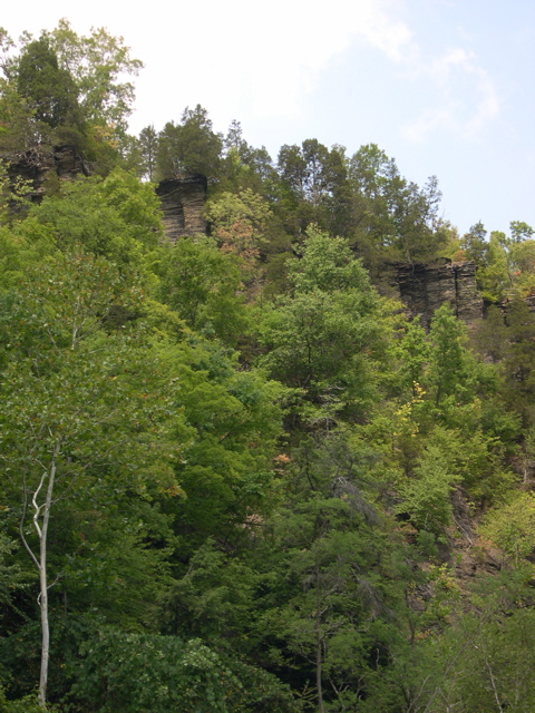 DSCN0959.JPG
