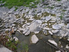 DSCN0932.JPG