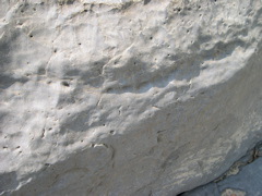 DSCN0942.JPG