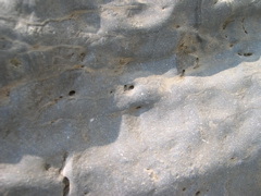 DSCN0943.JPG
