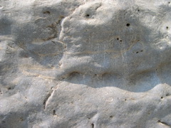 DSCN0944.JPG