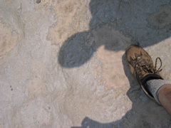 DSCN0946.JPG