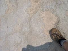 DSCN0947.JPG