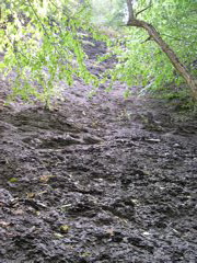 DSCN0952.JPG