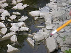 DSCN0934.JPG