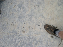 DSCN0953.JPG