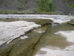 DSCN0957.JPG