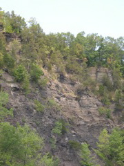 DSCN0958.JPG