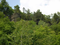 DSCN0960.JPG