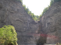DSCN1014.JPG