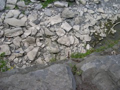 DSCN0937.JPG