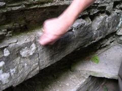 DSCN1028.JPG