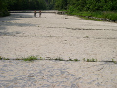 DSCN0939.JPG