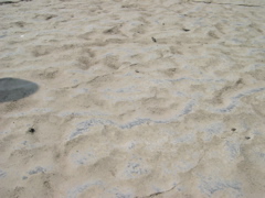 DSCN0940.JPG