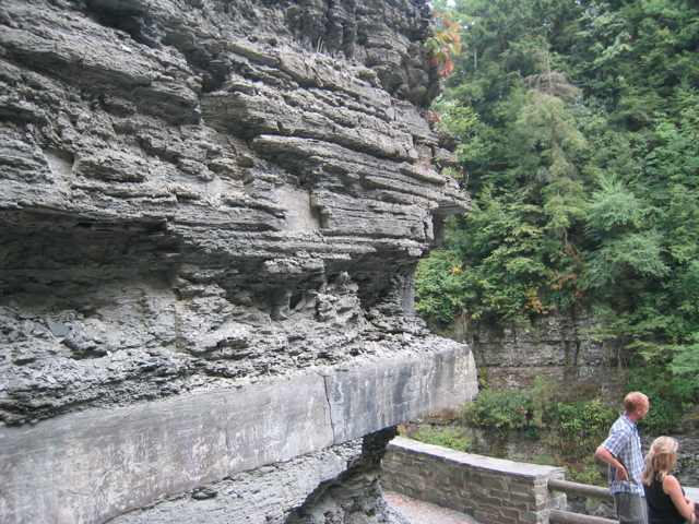 IMG_3570.JPG