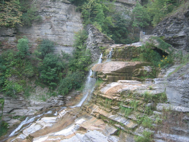 IMG_3571.JPG