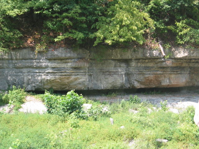 IMG_3562.JPG